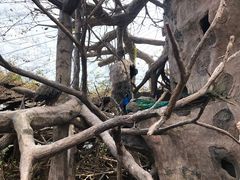 -长鹿旅游休博园