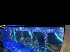 -鱼酷活鱼烤鱼(恒隆广场店)