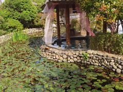 -观唐（国际）度假村温泉