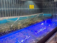 -海韵之星邮轮水会(明发商业广场店)