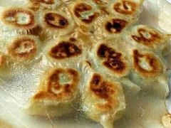 -大清花饺子(五五路店)