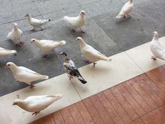 -王府井奥莱临潼小镇(临潼店)