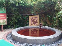 -仁爱团泊湖温泉中心