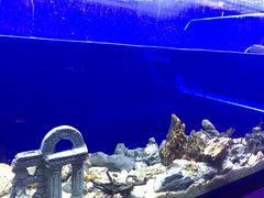 -MOJO密室逃脱(中街旗舰店)