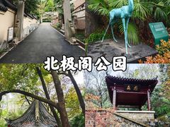 -北极阁公园