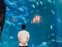 -成都浩海立方海洋公园