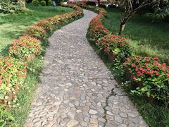 -庐山风景区花径公园