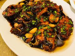 红烧鮰鱼-宏玲餐厅(四川南路店)