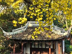 -秋霞圃