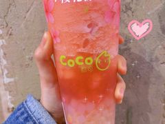 -CoCo都可(国芳百货店)