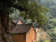 -杨家堂村