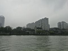 -运河游船(武林门码头)