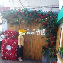 -香遇沙龙香水·调香·团建