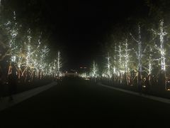 -钱江新城灯光秀