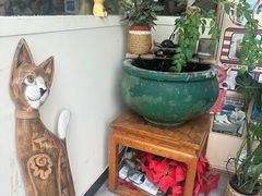 -猫小院猫主题餐厅(南锣旗舰店)