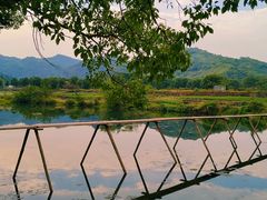 -上海佘山国家森林公园天马山园