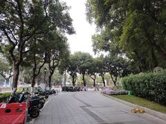 -番禺广场(市桥街道)