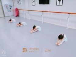 -昕艺尚皇家芭蕾舞蹈中心