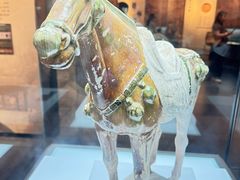 -衢州市博物馆