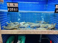 -浙C老邻舍(西城海错店)