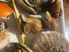 鲍鱼-钱库里海鲜自助(星海广场店)