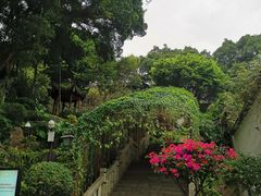 -乌山风景区