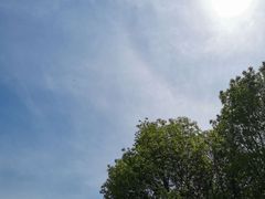 -奥林匹克森林公园南门-停车场