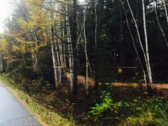 -五营红松林海景区