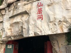 -仙蘑洞