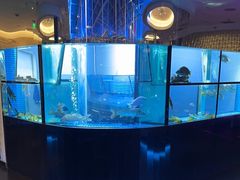 -王家渡火锅店(棕榈泉店)