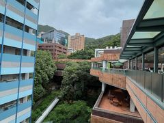 -香港大学