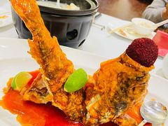 松鼠桂鱼-上海小南国(金桥国际广场店)