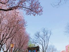 -西安曲江寒窑遗址公园