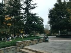 -龙头寺公园