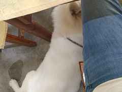 -东胜客河鲜店·西江河鲜·老字號渔家菜