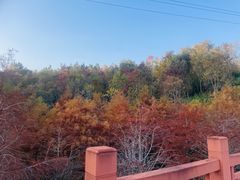 -翠屏湖景区