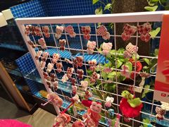 -涿派·炝锅鱼(涿州店)