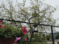 -火火咖啡&茶空间