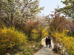 -石家庄市植物园