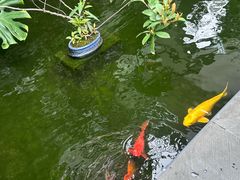 -漫笙舍Manse·咖啡·民宿