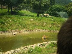 -西安秦岭野生动物园