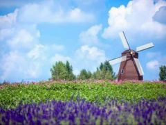 -北纬44度·金珠花海休闲农业旅游景区