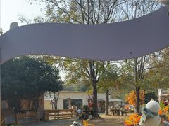 -HERRE·FARM 赫尔露营农场·团建聚会包场