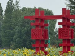 -泗洪洪泽湖湿地景区