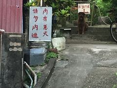 -南丫岛