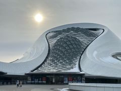 -哈尔滨大剧院