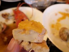 -金蜗牛