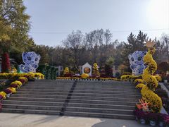 -青藏高原野生动物园