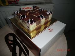 CIMG1583-维尔纳斯·生日蛋糕动物奶油冰淇淋蛋糕(人大店)