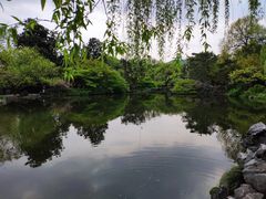 -西湖外事游船(花港观鱼码头)